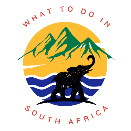 What to do in South Africa