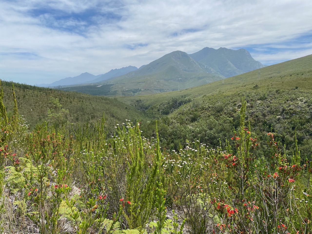Outeniqua Mountains in the Garden Route in the Western Cape