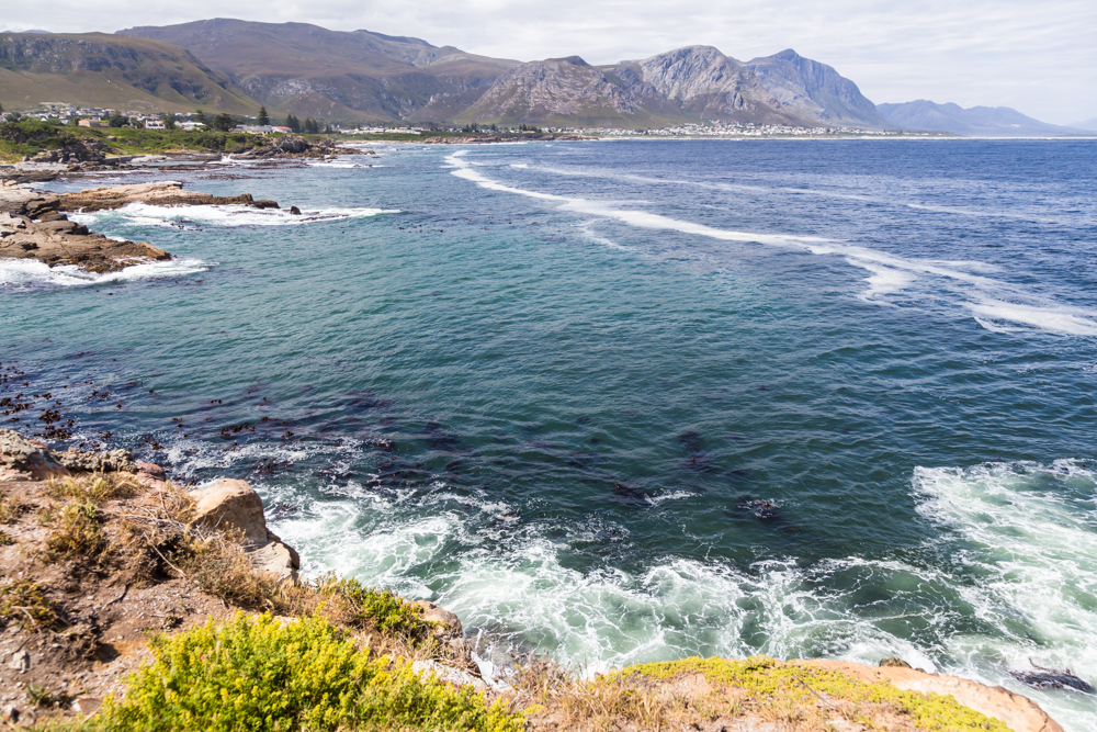 Hermanus in the Overberg Region of the Western Cape, South Africa