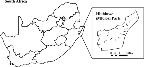 The location of Hluhluwe-iMfolozi Game Reserve Location of Hulhuwe-iMfolozi Game Reserve
